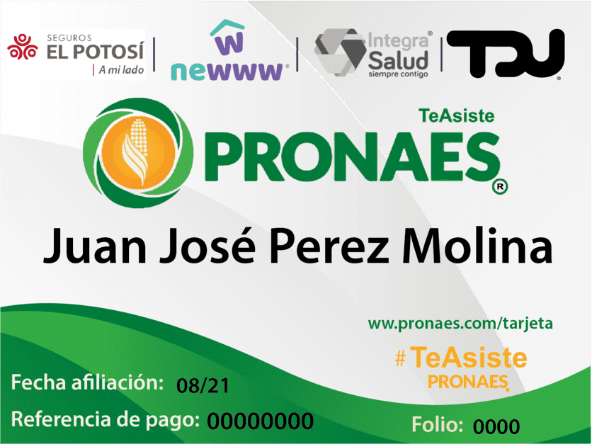 Nueva Tarjeta TeAsistePRONAES